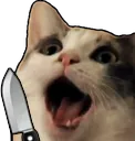 excitedcat_knife
