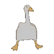 goosevibes