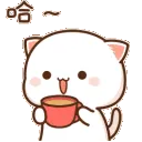 HK_CA_CatSip