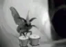 mothonbongos mothonbongos