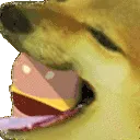 dogehamburger2