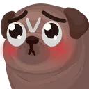 PugPleading