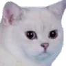 VE_wot