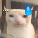 __ __