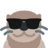 ottercool ottercool