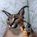 5323floppaholdinggun