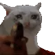 CatGun