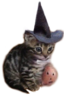catwitch Discord emoji
