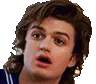 steve