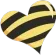 beeheart beeheart