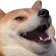 doggolaugh
