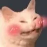 uwu