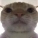 bruh