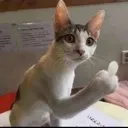 fuck_u fuck_u
