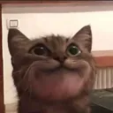 smile smile