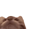 Tasty