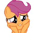 ScootalooCute