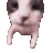 catkiss