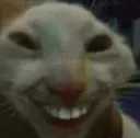xdd