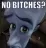 no_bitches