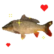 feesh feesh