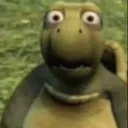 turtleshookhuh