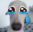 d_WAHHHHHHHH