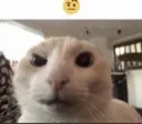 eyebrow