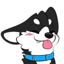 HuskyBlep