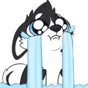 HuskyCry