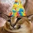 Party_Flop Party_Flop
