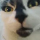angerstare