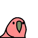 1033_stableparrot