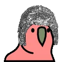 1789_tinfoilhatparrot