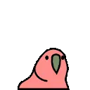 1968_jumpingjrparrot