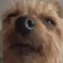 iSentMyMushroomPleaseRespond