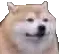 ThisDog