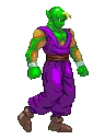 piccolo1