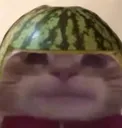 watehmelonk