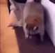 rdance rdance