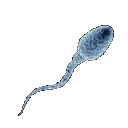 blue_sperm