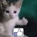 Thumbsup Cat Discord Emoji