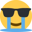 sunglasses_cool_cry