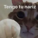 LTP_tengoTuNariz