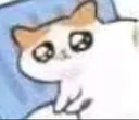 SleepCryCat