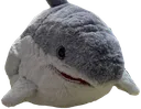 haj_tagetorkild