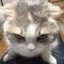 R_BobaImNotPlayingAnymore R_BobaImNotPlayingAnymore