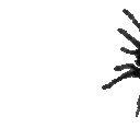 spideremote