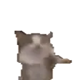 sammeDANCE
