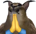 floppaprayer